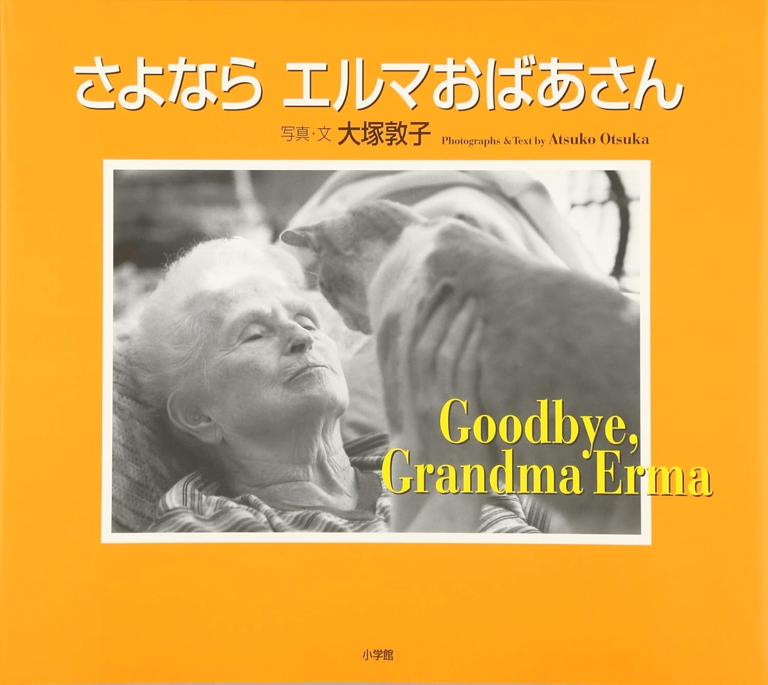 📚書籍紹介📚さよなら エルマおばあさん